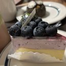 강남역(교보거리) | 강남역 3층 대형카페 신논현역 카페 썸띵어바웃커피 케이크 후기