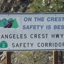 엔젤레스 이미지