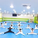 용인대 튼튼 태권도 이미지