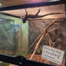 피시랑 놀자 | 인천 실내동물원 쥬벅스 ｜아이와 먹이주기 체험 솔직 후기