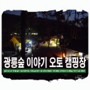 광릉숲 이야기 캠핑장 티스토리