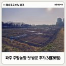 큰손집 2호점 | 파주 주말농장 첫 방문 후기 (3월 28일)