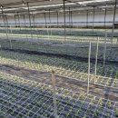 예송 농장 이미지