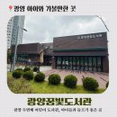 꿈빛도서관 | 광양꿈빛도서관 방문후기- 운영시간 및 방문 정보📚