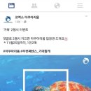 코엑스아쿠아리움 이미지