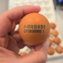 항산농장 네이버블로그