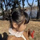 염소꿈농원 이미지