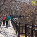 구릉산자락길 이미지