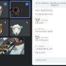 뽀감