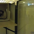 호텔이냥 이미지