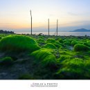 보성바다스토리리조트 이미지