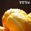 농업회사법인 세양(주)