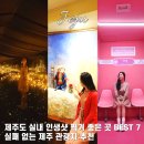 제주애월드림 | 제주 여행 코스 BEST 7 비 오는 날 인생샷 명소