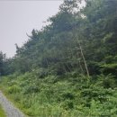 오량초등학교병설유치원 이미지