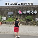 동백국수집 | 안덕 동백국수 솔직후기 한 그릇 먹고 재방문을 결심한 이유