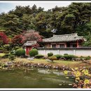 영주 천운정 이미지