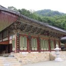 기사 스크랩_고성 운흥사, 영천 거동사 대웅전 국가지정문화유산 지정, 10대 여성 자살 이미지