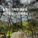 내리계곡 솔밭캠핑장 | 강원도 캠핑장 추천 내리계곡 솔밭캠핑장 예약 사이트 추천