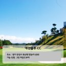 파스크린골프 이미지