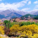 지리산 이미지