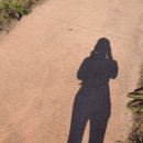 우산천변길 이미지