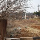 적토공인중개사사무소 이미지