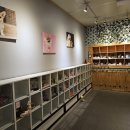 강아지의 품격 이미지