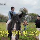 이광수농장 ize