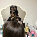 쁘렌따 네이버블로그