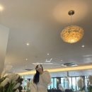 호텔치즈삼산점 | 울산 삼산 카페 랑데자뷰 제주감성 카페 + 🔥요즘 핫한 볼꾸까지🔥 (재방문 후기)