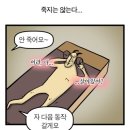 고문당 | [운동] 용두역 용신동 이파필라테스 용두점 스페셜체형교정 전문센터 운동 후기 💪🏋‍♀️