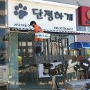 단정하개 이미지