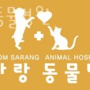 봄사랑 동물병원 이미지