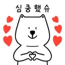 도그하우스 애견미용실 이미지