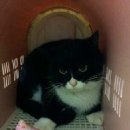 인헌동-2 이미지