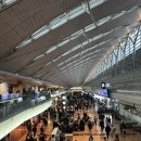 인문학과 함께하는 역사이야기 | [1일차] 요코하마 도쿄 맥주, 음식 2박3일 인문학여행 ( feat 우치키빵, 호텔 뉴 그랜드, 나폴리탄...