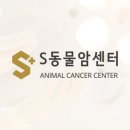 서울동물영상종양센터 이미지