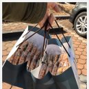 달보드레의달콤한수다 이미지