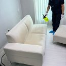 맘편한생활 | 안양 군포 매트리스 쇼파 청소 전문 [맘편한 홈케어] 쇼파 청소 후기