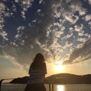 (주)보성허브 이미지