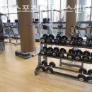 에스엠 휘트니스 이미지