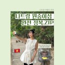 미희매점 | 섬 완전정복｜가는 방법부터 배 시간·공연·관람코스까지 내돈내산 총정리 후기 (26년 2월 1일 방문)