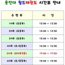 용인대NO.1태권도장 이미지