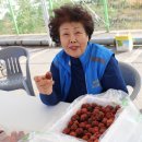 삼봉4리마을회관 이미지