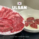 바른정육점 | 울산정육점 추천 바른축산 중구 한우 소고기 선물세트