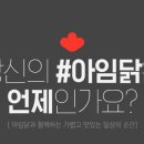 닭과함께 이미지
