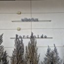 한류월드로+월드고양로 이미지