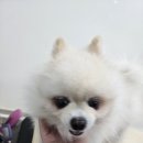 꽃보라미용실 이미지