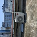 중앙동263 이미지