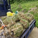 산소 정지작업(산돼지 훼손보수와 잔디덮씌우기와 약뿌림) 완료했습니다. 이미지